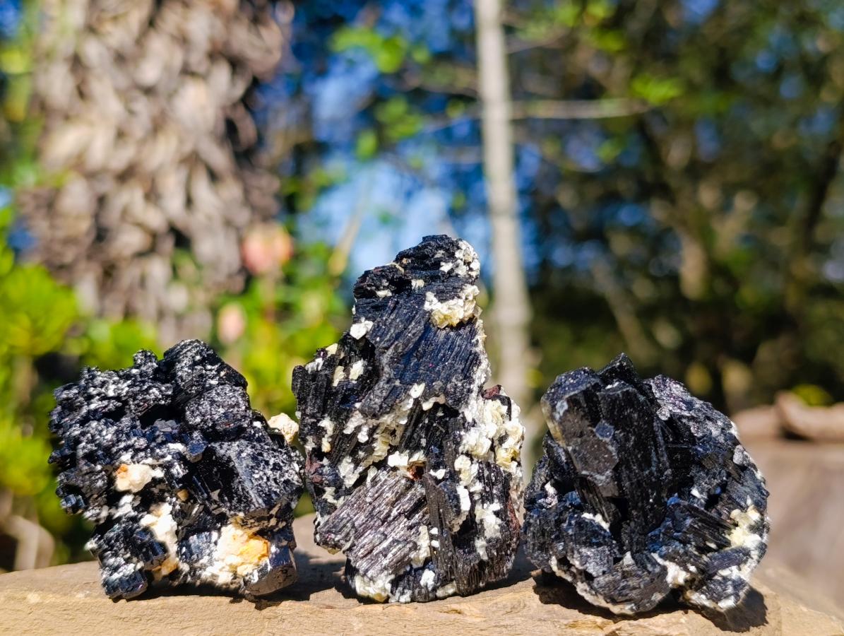 Natural Schorl Black Tourmaline with Feldspar Specimens x 12 From Erongo, Namibia - Toprock Gemstones and Minerals 