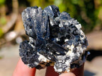 Natural Schorl Black Tourmaline with Feldspar Specimens x 12 From Erongo, Namibia - Toprock Gemstones and Minerals 