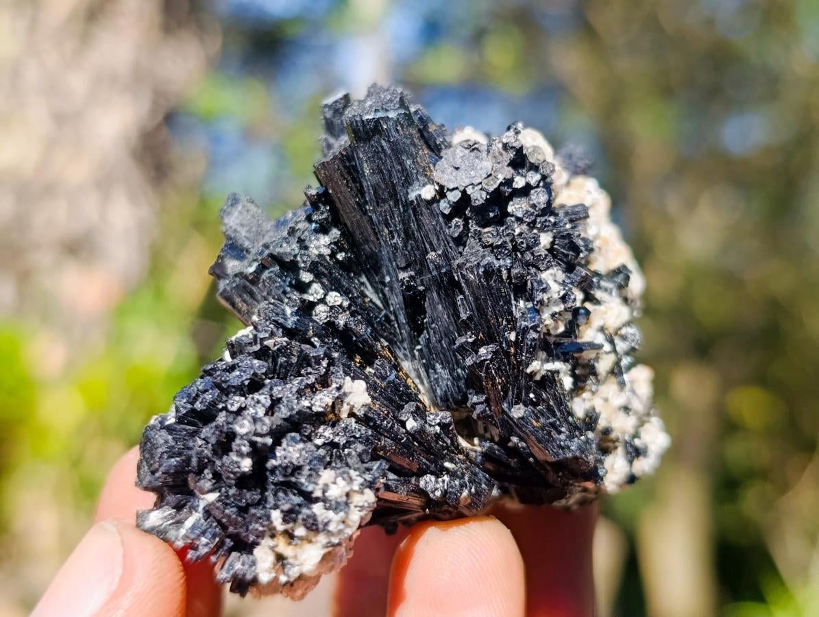 Natural Schorl Black Tourmaline with Feldspar Specimens x 12 From Erongo, Namibia - Toprock Gemstones and Minerals 