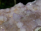 Natural Large Spirit Amethyst Cluster x 1 From Boekenhouthoek, South Africa - Toprock Gemstones and Minerals 