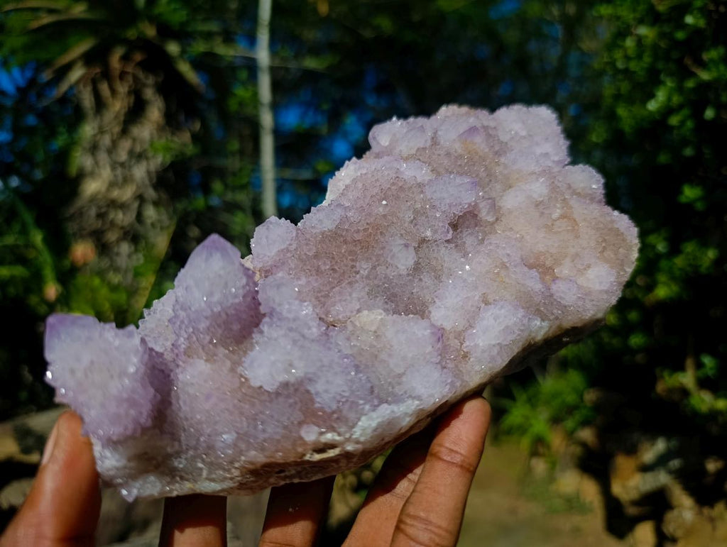 Natural Large Spirit Amethyst Cluster x 1 From Boekenhouthoek, South Africa - Toprock Gemstones and Minerals 