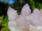 Natural Large Spirit Amethyst Cluster x 1 From Boekenhouthoek, South Africa - Toprock Gemstones and Minerals 