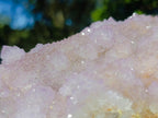 Natural Large Spirit Amethyst Cluster x 1 From Boekenhouthoek, South Africa - Toprock Gemstones and Minerals 