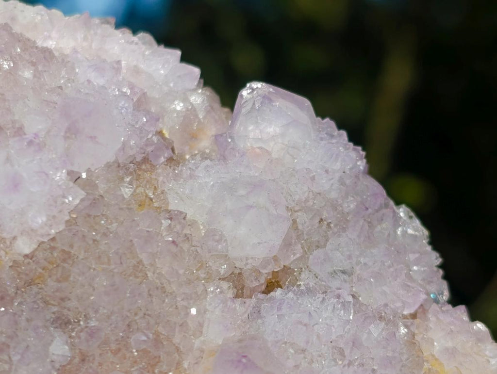 Natural Large Spirit Amethyst Cluster x 1 From Boekenhouthoek, South Africa - Toprock Gemstones and Minerals 