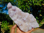 Natural Large Spirit Amethyst Cluster x 1 From Boekenhouthoek, South Africa - Toprock Gemstones and Minerals 