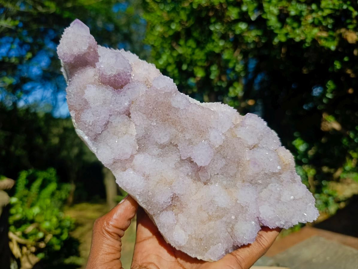 Natural Large Spirit Amethyst Cluster x 1 From Boekenhouthoek, South Africa - Toprock Gemstones and Minerals 