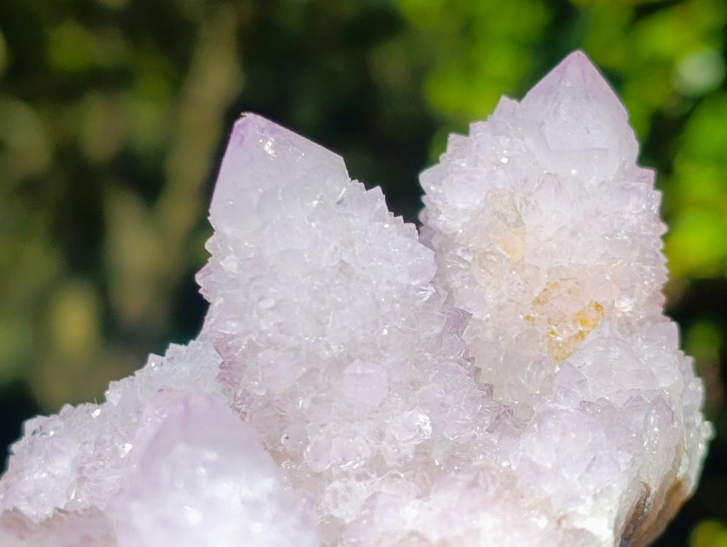 Natural Large Spirit Amethyst Cluster x 1 From Boekenhouthoek, South Africa - Toprock Gemstones and Minerals 