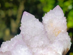 Natural Large Spirit Amethyst Cluster x 1 From Boekenhouthoek, South Africa - Toprock Gemstones and Minerals 