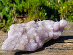 Natural Large Spirit Amethyst Cluster x 1 From Boekenhouthoek, South Africa - Toprock Gemstones and Minerals 