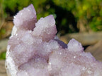 Natural Large Spirit Amethyst Cluster x 1 From Boekenhouthoek, South Africa - Toprock Gemstones and Minerals 