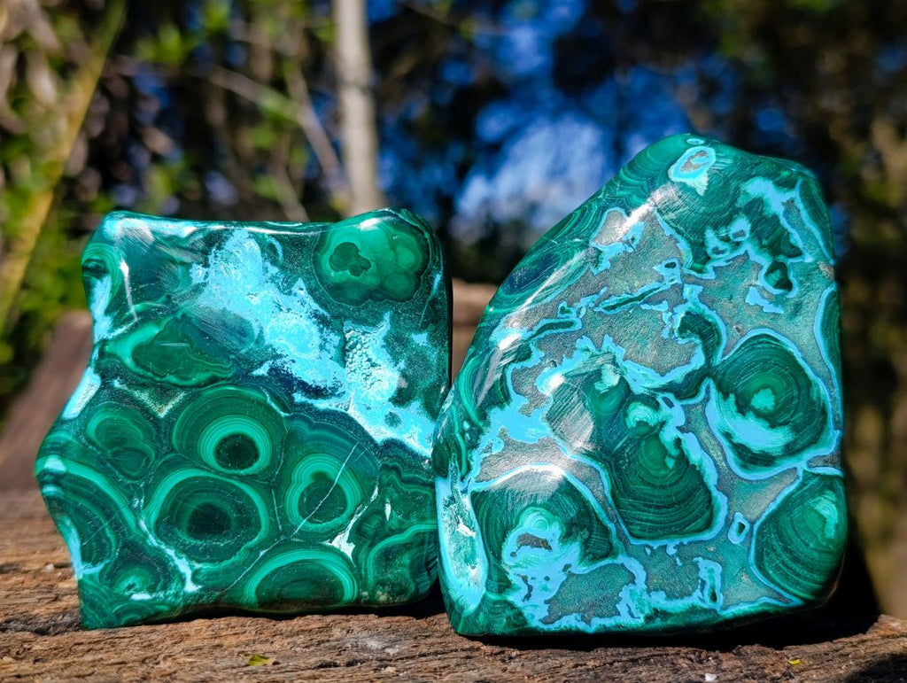 Polished Malacolla Free Forms x 4 From Kulukuluku, Congo - Toprock Gemstones and Minerals 