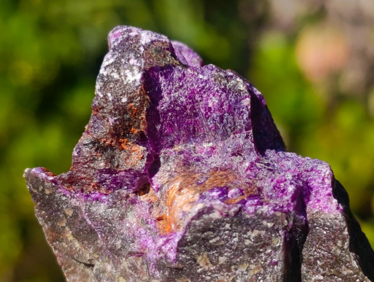 Natural Cobbed Stichtite Specimens x 24 From Barberton, South Africa - Toprock Gemstones and Minerals 