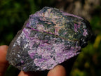 Natural Cobbed Stichtite Specimens x 24 From Barberton, South Africa - Toprock Gemstones and Minerals 