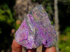 Natural Cobbed Stichtite Specimens x 24 From Barberton, South Africa - Toprock Gemstones and Minerals 