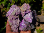 Natural Cobbed Stichtite Specimens x 24 From Barberton, South Africa - Toprock Gemstones and Minerals 