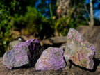 Natural Cobbed Stichtite Specimens x 24 From Barberton, South Africa - Toprock Gemstones and Minerals 