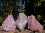 Natural Cobbed Stichtite Specimens x 24 From Barberton, South Africa - Toprock Gemstones and Minerals 
