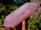 Polished Double Terminated Gemmy Rose Quartz Crystals x 6 From Madagascar - Toprock Gemstones and Minerals 