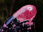 Polished Rhodonite Standing Display Piece x 1 From Ambindavato, Madagascar - Toprock Gemstones and Minerals 