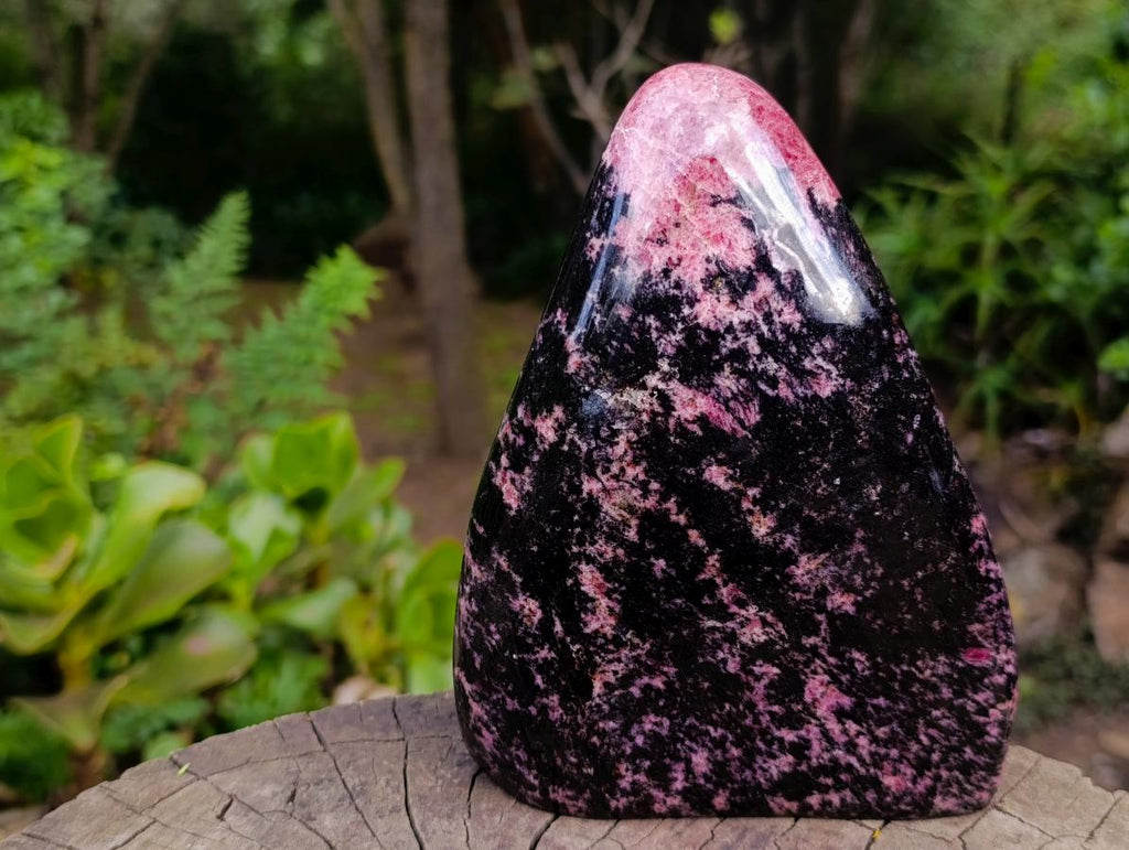 Polished Rhodonite Standing Display Piece x 1 From Ambindavato, Madagascar - Toprock Gemstones and Minerals 