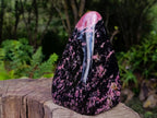 Polished Rhodonite Standing Display Piece x 1 From Ambindavato, Madagascar - Toprock Gemstones and Minerals 
