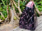 Polished Rhodonite Standing Display Piece x 1 From Ambindavato, Madagascar - Toprock Gemstones and Minerals 