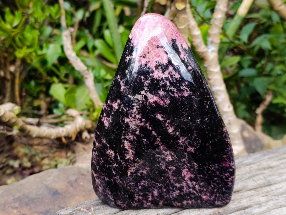 Polished Rhodonite Standing Display Piece x 1 From Ambindavato, Madagascar - Toprock Gemstones and Minerals 