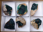 Natural Crystalline Malachite Specimens x 6 From Tenke Fungurume, Congo - Toprock Gemstones and Minerals 
