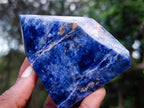 Polished Sodalite Crystal Points with Silver Hematite x 3 From Kunene River, Namibia - Toprock Gemstones and Minerals 