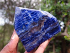 Polished Sodalite Crystal Points with Silver Hematite x 3 From Kunene River, Namibia - Toprock Gemstones and Minerals 