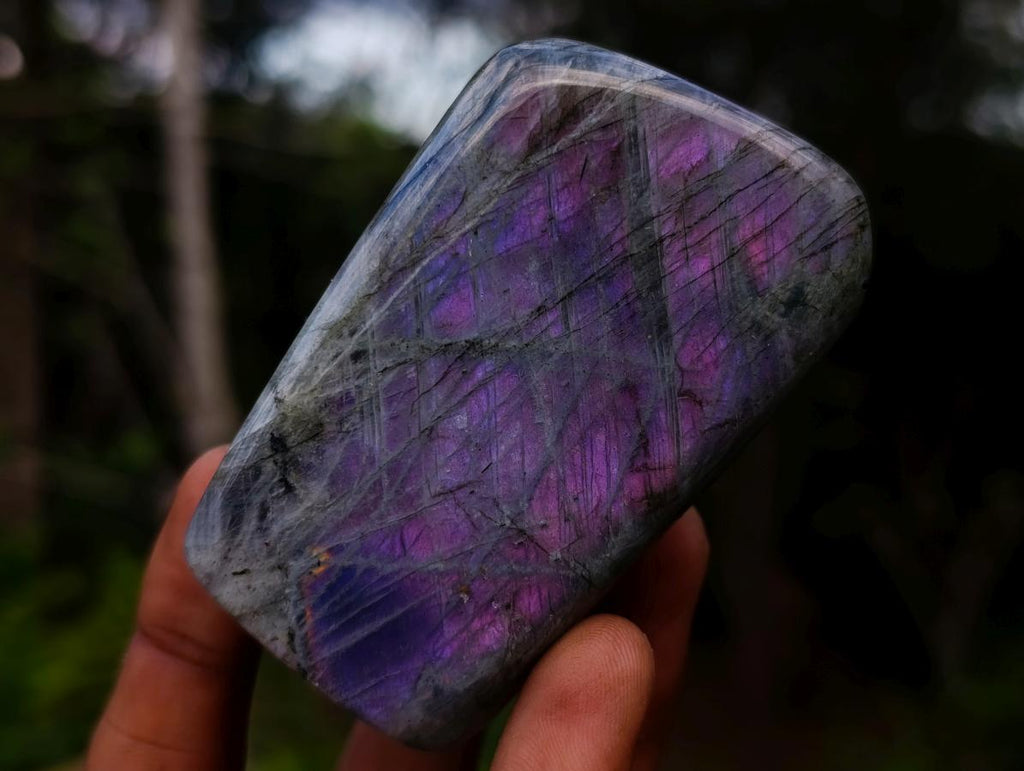 Polished Rare Purple Sunset Flash Labradorite Standing Display Pieces x 6 From Madagascar - Toprock Gemstones and Minerals 
