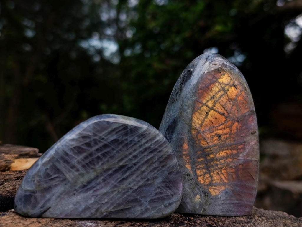 Polished Rare Purple Sunset Flash Labradorite Standing Display Pieces x 6 From Madagascar - Toprock Gemstones and Minerals 