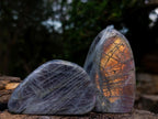 Polished Rare Purple Sunset Flash Labradorite Standing Display Pieces x 6 From Madagascar - Toprock Gemstones and Minerals 