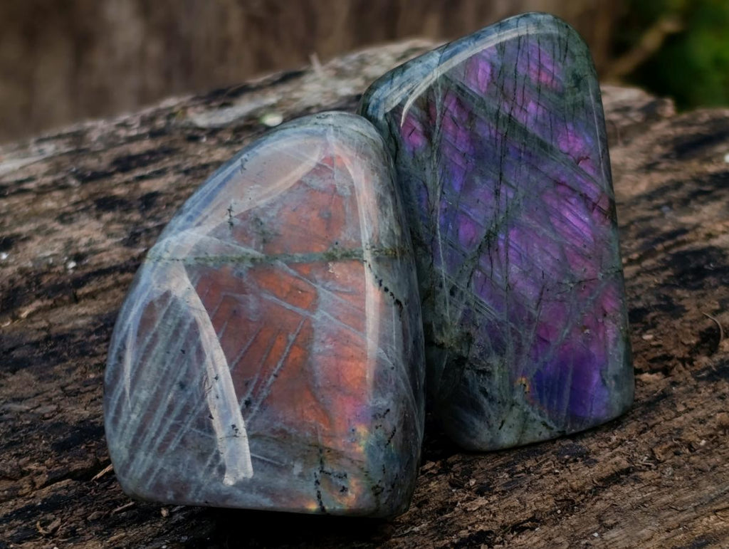 Polished Rare Purple Sunset Flash Labradorite Standing Display Pieces x 6 From Madagascar - Toprock Gemstones and Minerals 