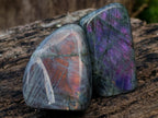 Polished Rare Purple Sunset Flash Labradorite Standing Display Pieces x 6 From Madagascar - Toprock Gemstones and Minerals 