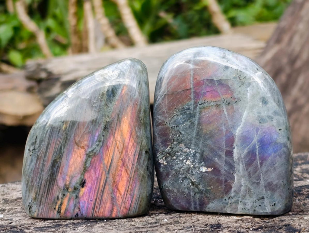 Polished Rare Purple Sunset Flash Labradorite Standing Display Pieces x 6 From Madagascar - Toprock Gemstones and Minerals 