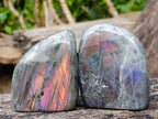 Polished Rare Purple Sunset Flash Labradorite Standing Display Pieces x 6 From Madagascar - Toprock Gemstones and Minerals 