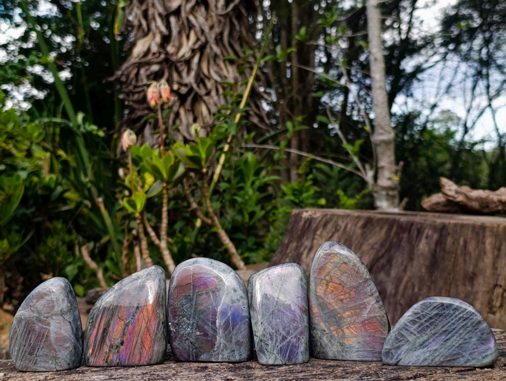 Polished Rare Purple Sunset Flash Labradorite Standing Display Pieces x 6 From Madagascar - Toprock Gemstones and Minerals 