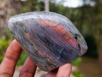 Polished Rare Purple Sunset Flash Labradorite Standing Display Pieces x 6 From Madagascar - Toprock Gemstones and Minerals 