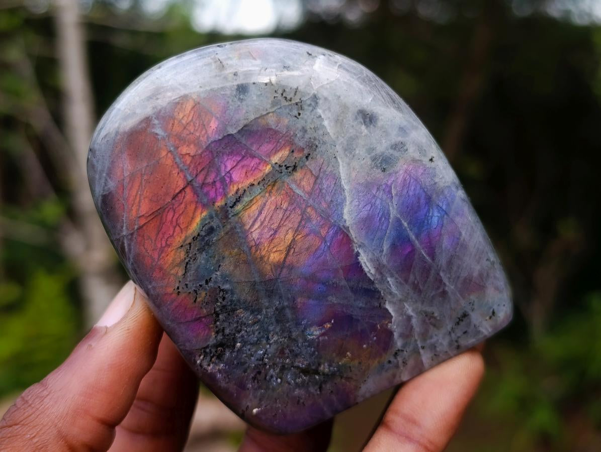 Polished Rare Purple Sunset Flash Labradorite Standing Display Pieces x 6 From Madagascar - Toprock Gemstones and Minerals 
