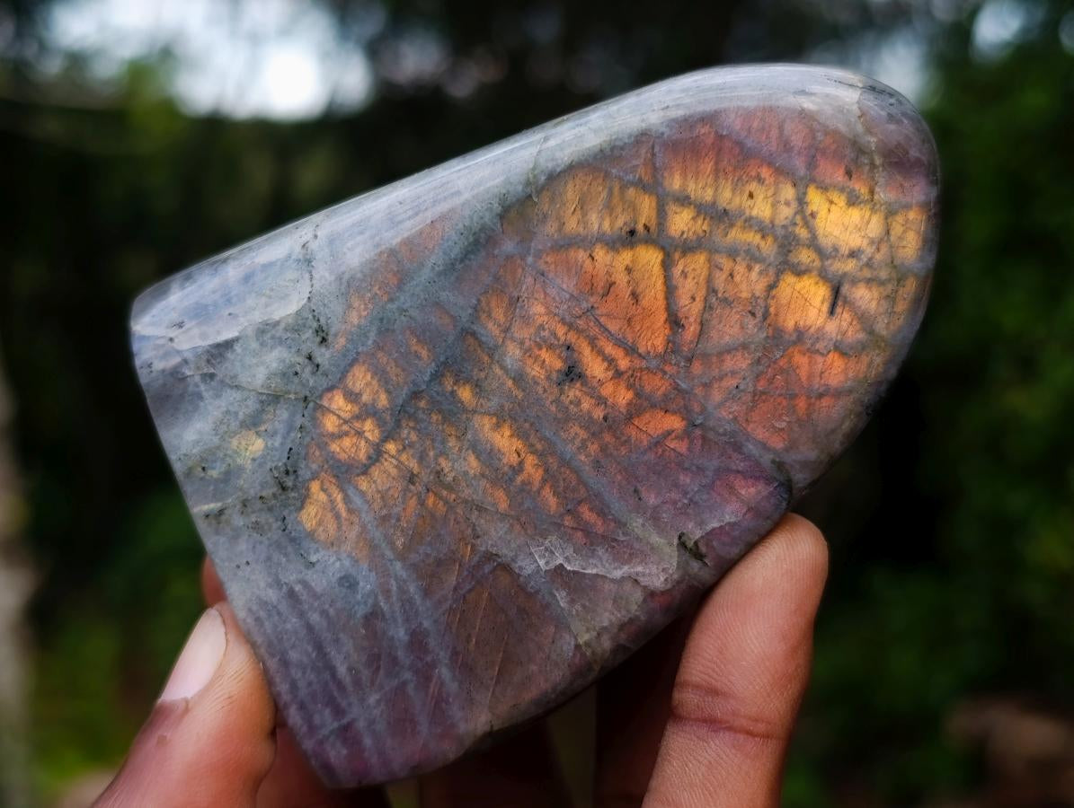 Polished Rare Purple Sunset Flash Labradorite Standing Display Pieces x 6 From Madagascar - Toprock Gemstones and Minerals 