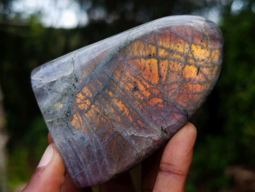 Polished Rare Purple Sunset Flash Labradorite Standing Display Pieces x 6 From Madagascar - Toprock Gemstones and Minerals 