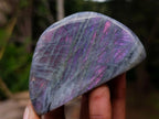 Polished Rare Purple Sunset Flash Labradorite Standing Display Pieces x 6 From Madagascar - Toprock Gemstones and Minerals 