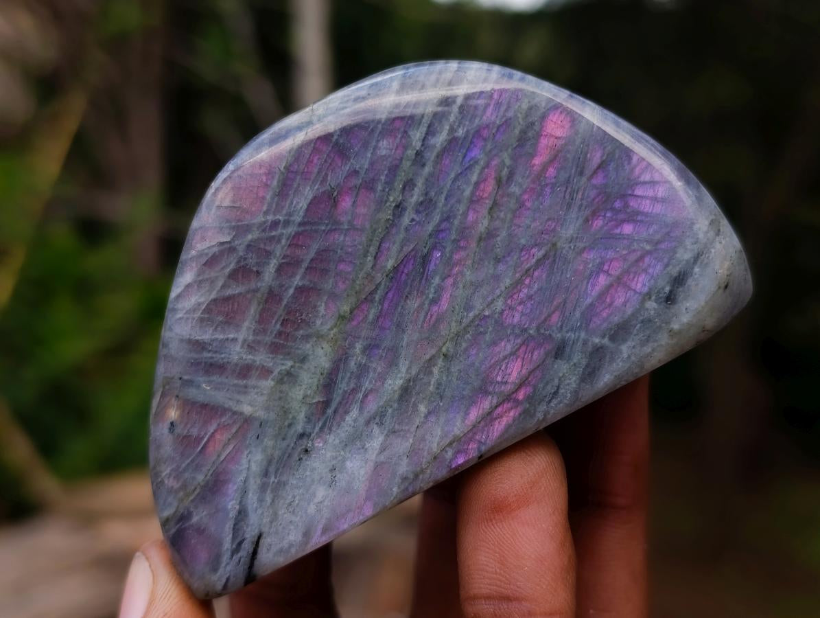 Polished Rare Purple Sunset Flash Labradorite Standing Display Pieces x 6 From Madagascar - Toprock Gemstones and Minerals 