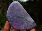 Polished Rare Purple Sunset Flash Labradorite Standing Display Pieces x 6 From Madagascar - Toprock Gemstones and Minerals 