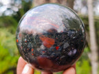 Polished Bloodstone Spheres x 2 From Swaziland - Toprock Gemstones and Minerals 
