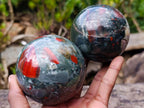 Polished Bloodstone Spheres x 2 From Swaziland - Toprock Gemstones and Minerals 