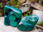 Polished Flower Banded Malachite Free Forms x 12 From Congo - Toprock Gemstones and Minerals 