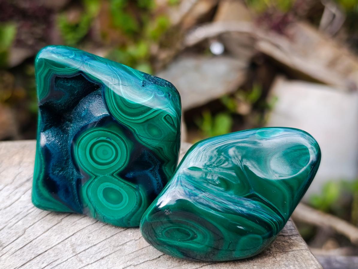 Polished Flower Banded Malachite Free Forms x 12 From Congo - Toprock Gemstones and Minerals 