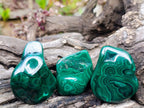 Polished Flower Banded Malachite Free Forms x 12 From Congo - Toprock Gemstones and Minerals 